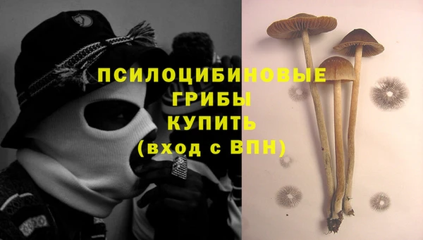 ECSTASY Абдулино