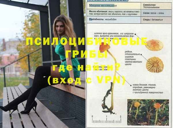 гидра Новокубанск