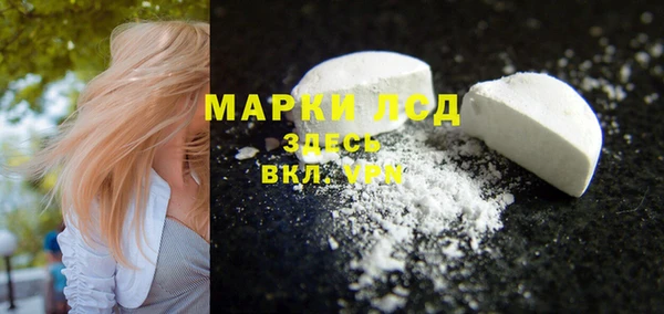 прущие крисы Новодвинск