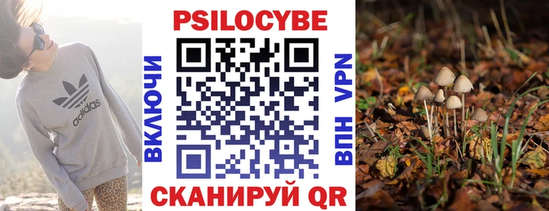 это официальный сайт  Сысерть  Галлюциногенные грибы мухоморы 